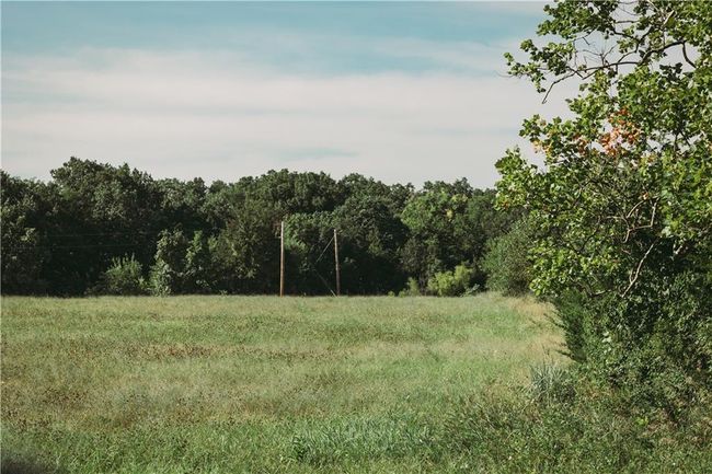 View of nature | Image 5