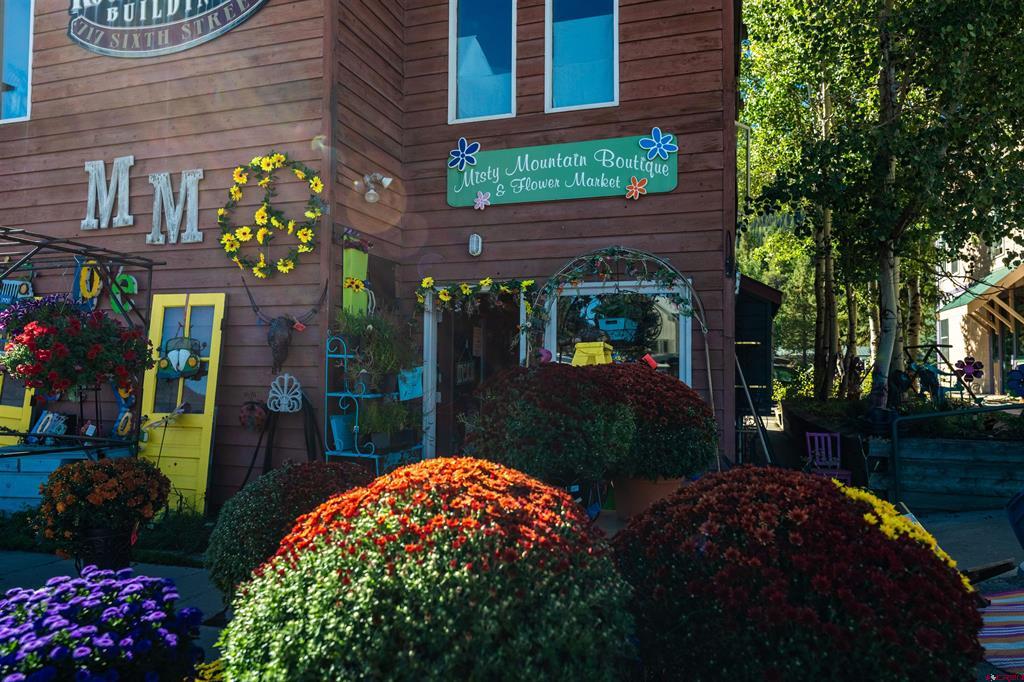 6th St, Crested Butte, CO 81224