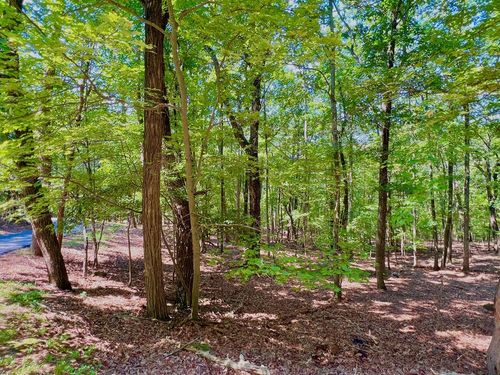 1481 Briar Vis, Jasper, GA, 30143 | Card Image