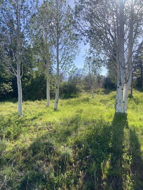271 Whispering Pines Rd, Springdale, UT, 84767 | Card Image