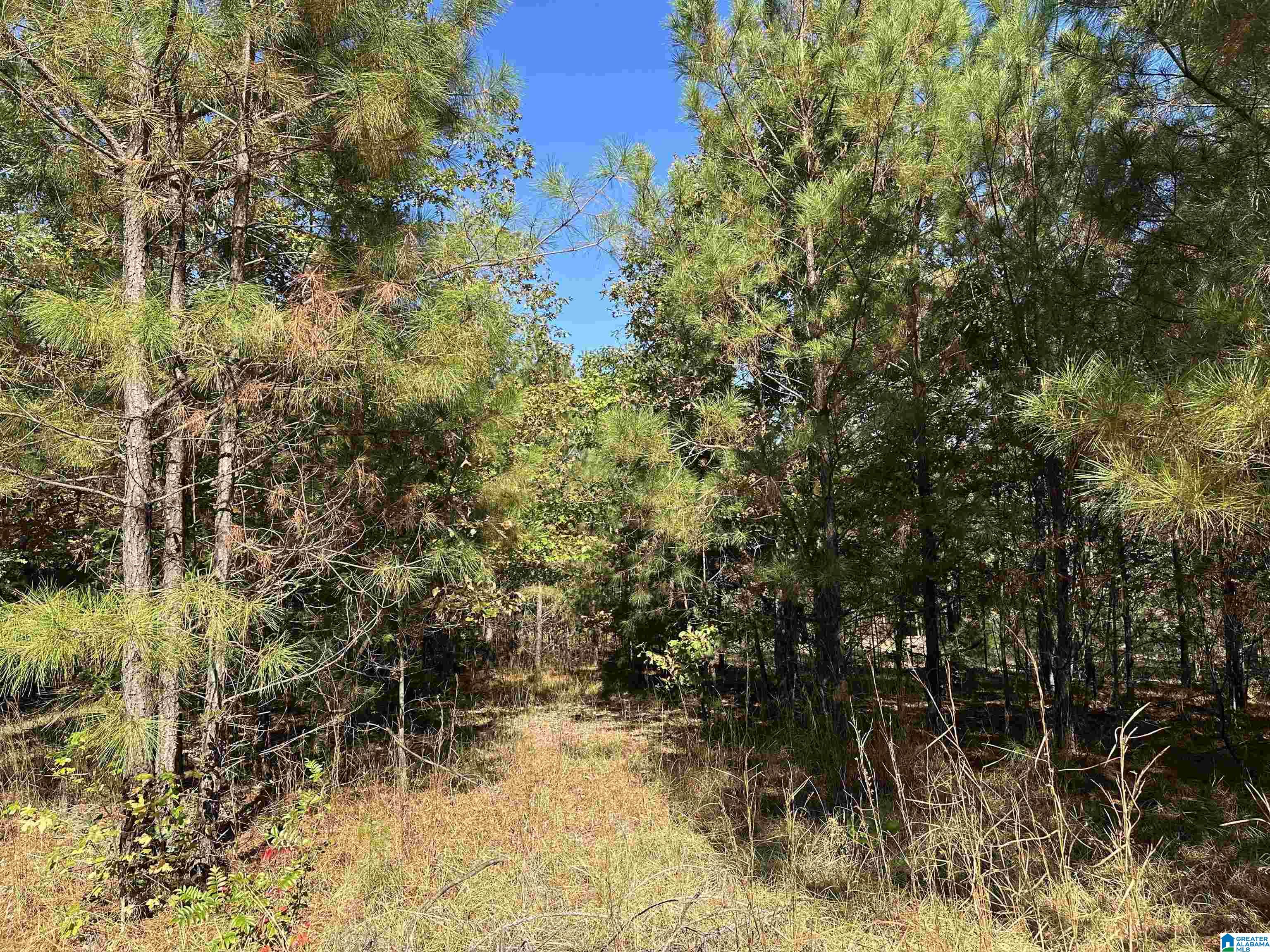 Land in VINCENT 3