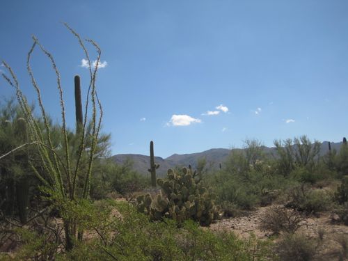 0-000 N Owl Head Ranch Road, Marana, AZ, 85658 | Card Image