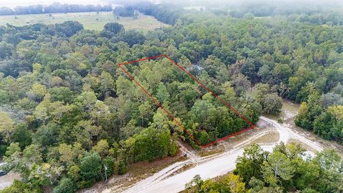 Lot 9 Nw 73rd Way, Bell, FL, 32619 | Card Image