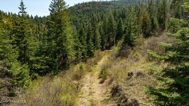 11817 W Garrett Ct, Home with 0 bedrooms, 0 bathrooms and null parking in Post Falls ID | Image 12