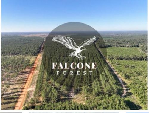 0 Richardson Rd E, Livingston, TX, 77351 | Card Image