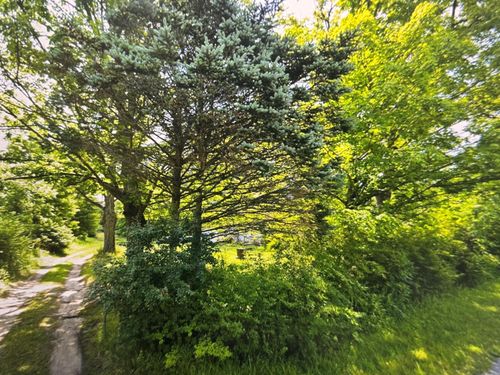 42439 78th St, Covert, MI, 49043-8721 | Card Image