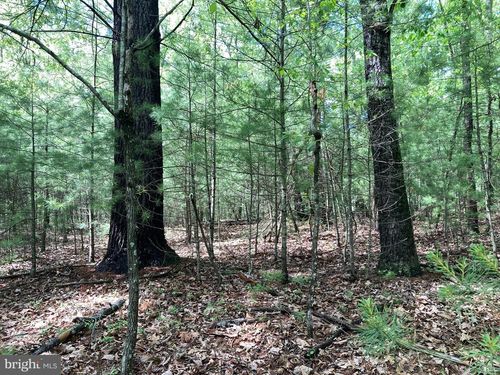 L7 Quaker Woods Ln, Capon Bridge, WV, 26711 | Card Image