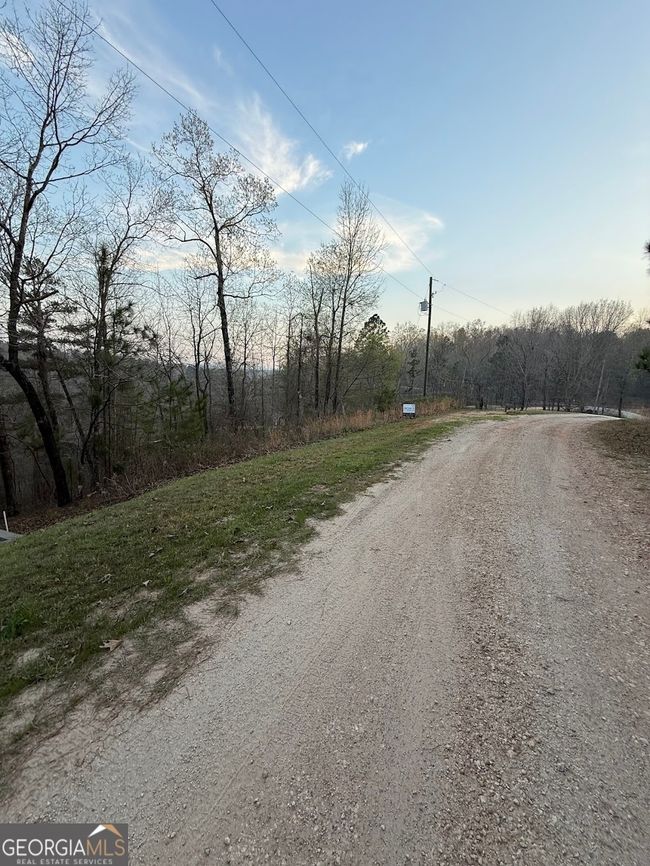 0 Luther Dr, Home with 0 bedrooms, 0 bathrooms and null parking in WEDOWEE AL | Image 13