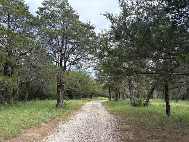 The long and winding driveway back to utimate privacy. | Image 7