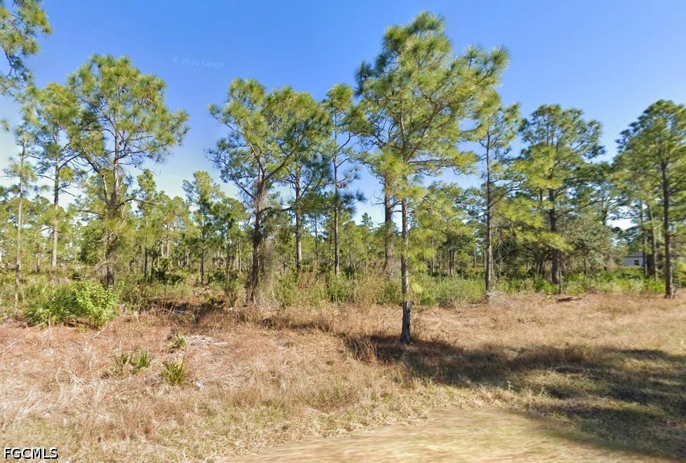 Land in Lehigh Acres
