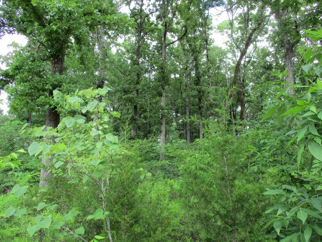 86 Adam Loop, Home with 0 bedrooms, 0 bathrooms and null parking in Bath Springs TN | Image 12