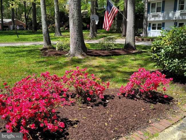 609 Twin Tree Rd, House other with 4 bedrooms, 2 bathrooms and null parking in SALISBURY MD | Image 6