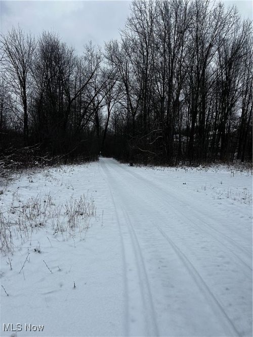 3047 Cannon Rd, Twinsburg, OH, 44087 | Card Image