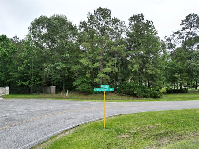 0 Commons Scenic View Dr, Home with 0 bedrooms, 0 bathrooms and null parking in Huffman TX | Image 12