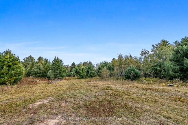 00 Highway 41, Home with 0 bedrooms, 0 bathrooms and null parking in Kaladar ON | Image 12