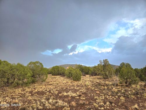 Lot 9 Pinon Valley Ranch, Concho, AZ, 85924 | Card Image