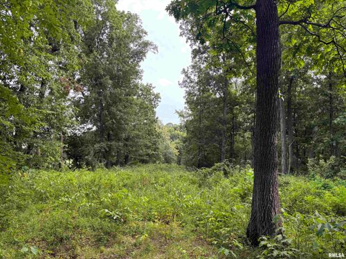 0000 E Richview Rd, Mount Vernon, IL, 62864 | Card Image