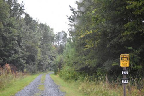 0 Julius Rd, Kingstree, SC, 29556 | Card Image