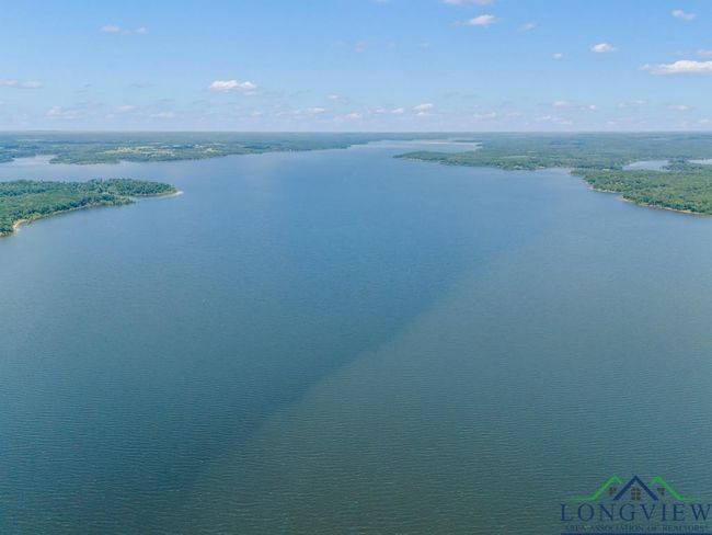 263 Crestwood Loop, House other with 2 bedrooms, 1 bathrooms and null parking in Avinger TX | Image 45