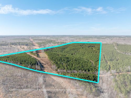 0 Co Rd 32, Hodges, AL, 35571-HO | Card Image