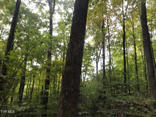 60.83 Ac Dana Cope Hollow Road, Thorn Hill, TN, 37881 | Card Image