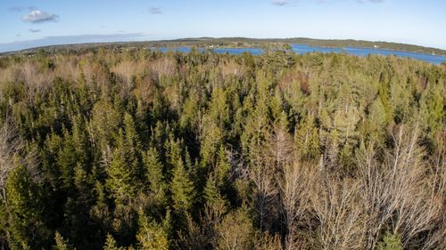 3 Looks Point Road, Jonesboro, ME, 04648 | Card Image