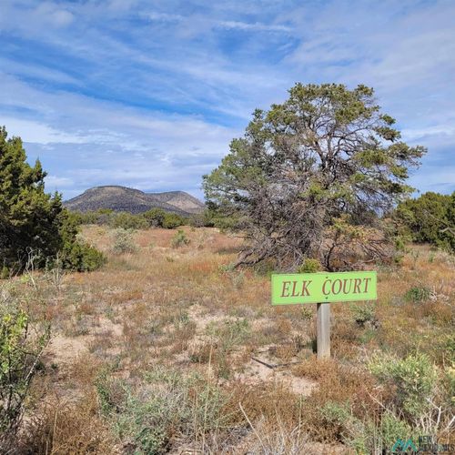 15 Elk Ct, Datil, NM, 87821-0000 | Card Image