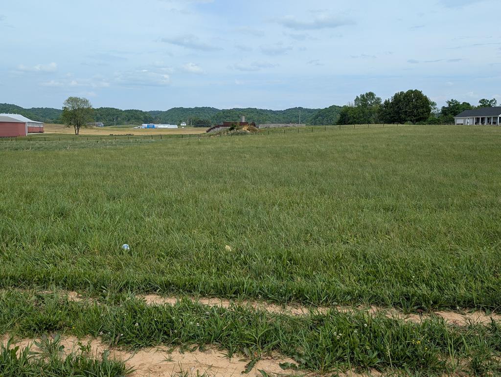 Land in Burkesville