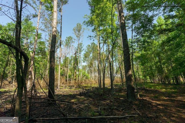 6053 Sun Hill Grange Rd, Home with 0 bedrooms, 0 bathrooms and null parking in Davisboro GA | Image 53