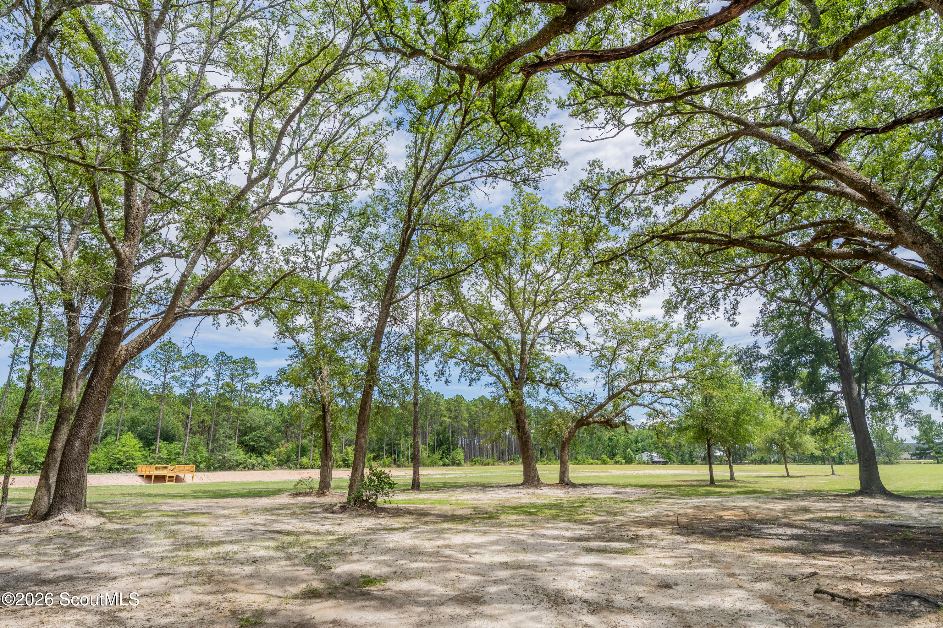 Land in Blackshear 2