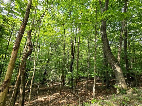 1756 Mohican Lane, Hide A Way Hills, OH, 43107 | Card Image