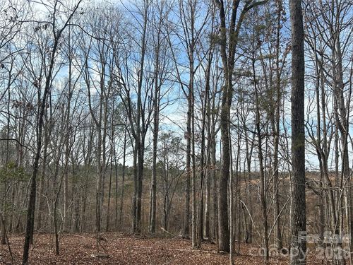 33 Ac Lot A Countryside Drive, Blackstock, SC, 29014 | Card Image