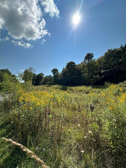 0 Hardscrabble Rd, Munson, PA, 16860 | Card Image
