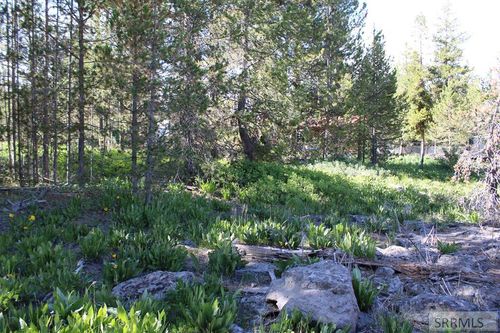 0001 Buffalo Ln, Island Park, ID, 83429 | Card Image
