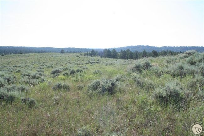 Lot 74 High Pines Blf, Home with 0 bedrooms, 0 bathrooms and null parking in Columbus MT | Image 9