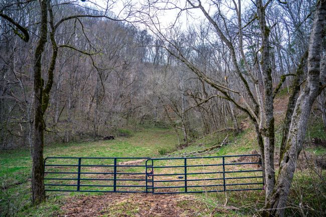 1438 Wartrace Rd, Home with 0 bedrooms, 0 bathrooms and null parking in Red Boiling Springs TN | Image 32