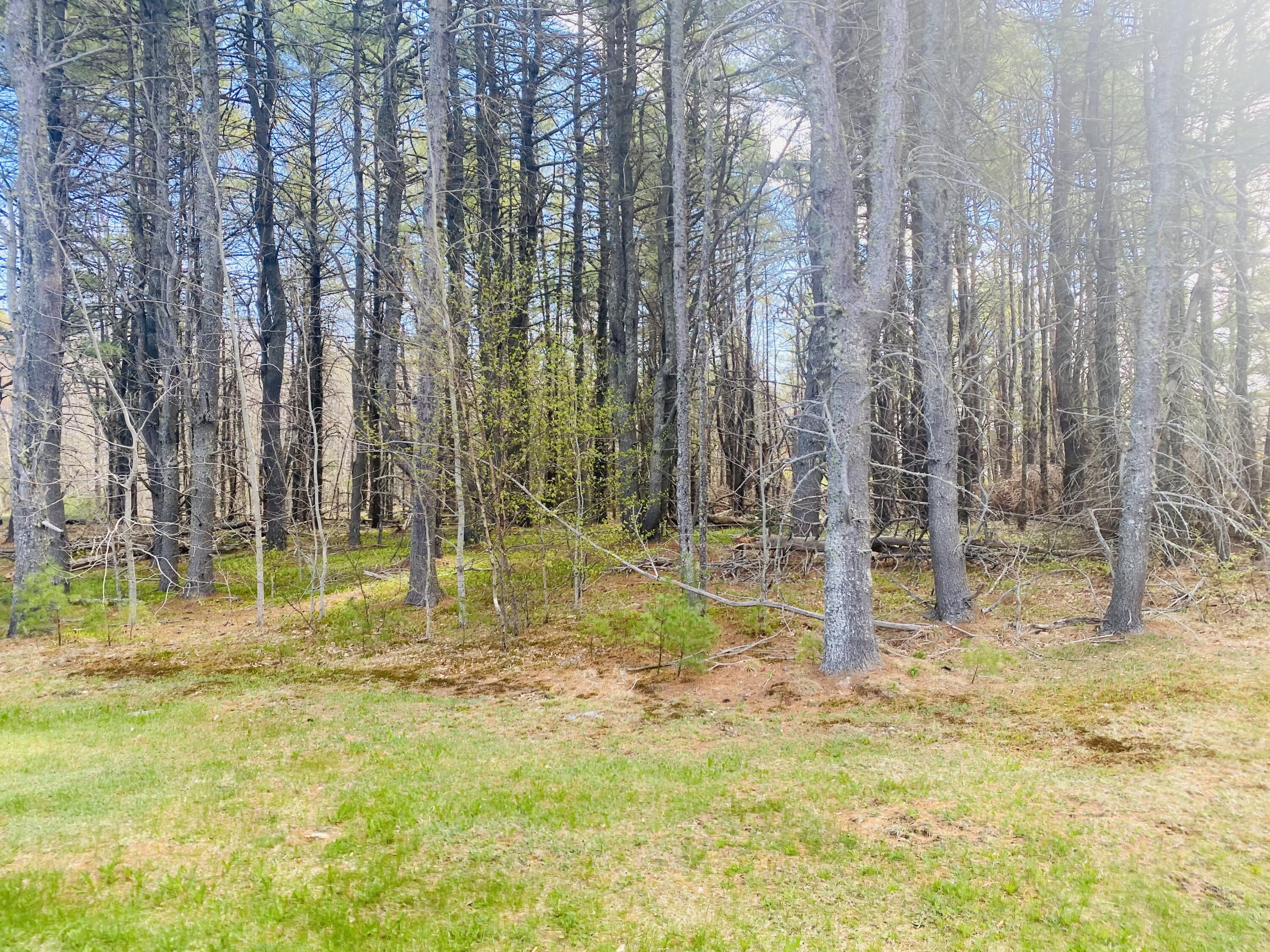 Land in Bangor 5