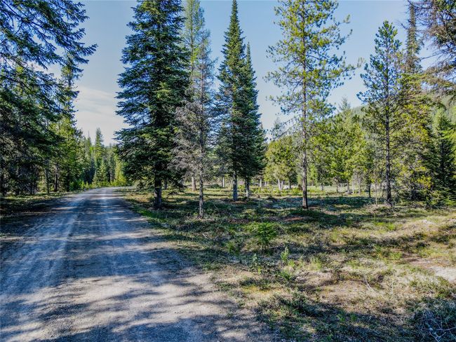 View of dirt / gravel road featuring a wooded view | Image 48