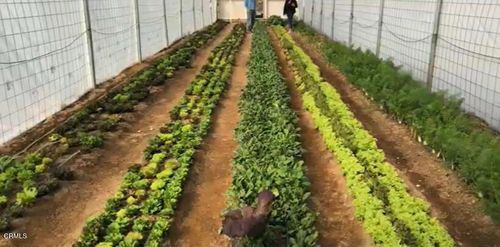 691 Desert Trail Way, Tecopa, CA, 92389 | Card Image