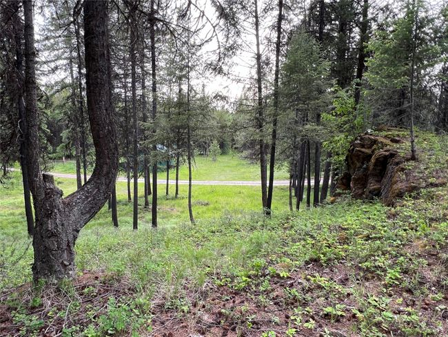 a view of the main meadow from a hill to the east | Image 102