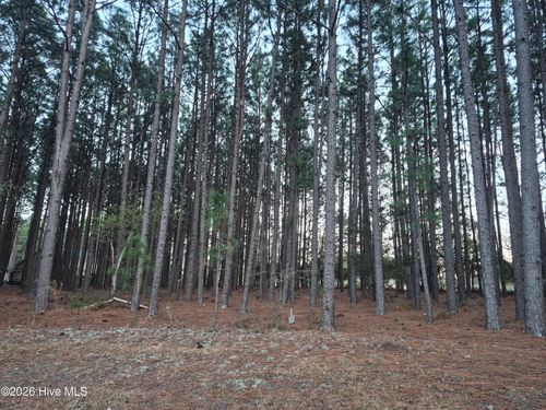 3 Milla Ct, Jackson Springs, NC, 27281-9818 | Card Image