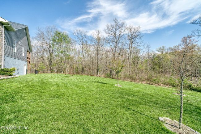 380 Mountain Preserve Pkwy, House other with 3 bedrooms, 2 bathrooms and null parking in Crab Orchard TN | Image 8