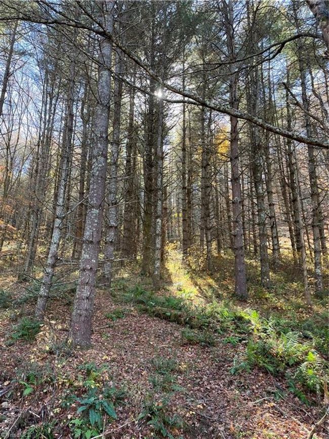 1972 Big Horse Creek Rd, House other with 3 bedrooms, 2 bathrooms and null parking in Lansing NC | Image 23
