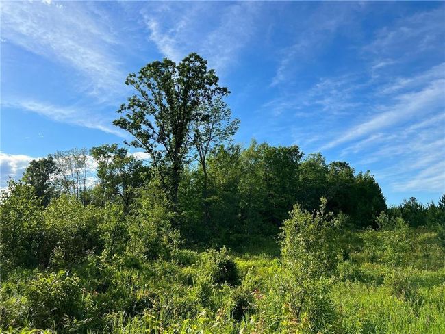 W39XX Frog Creek Rd, Home with 0 bedrooms, 0 bathrooms and null parking in MINONG WI | Image 21