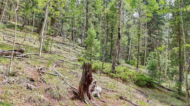 94 Mariposa Cir, Home with 0 bedrooms, 0 bathrooms and null parking in Cripple Creek CO | Image 10