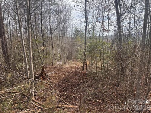 56-00 Billings Hill Church Rd, Traphill, NC, 28685 | Card Image