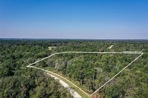 10 Lot 81 Woodland Hills Ranch, Centerville, TX, 75833 | Card Image