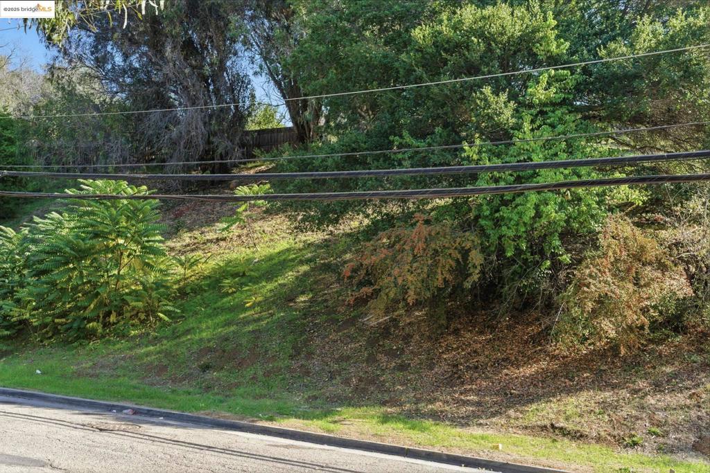 Land in Oakland 5