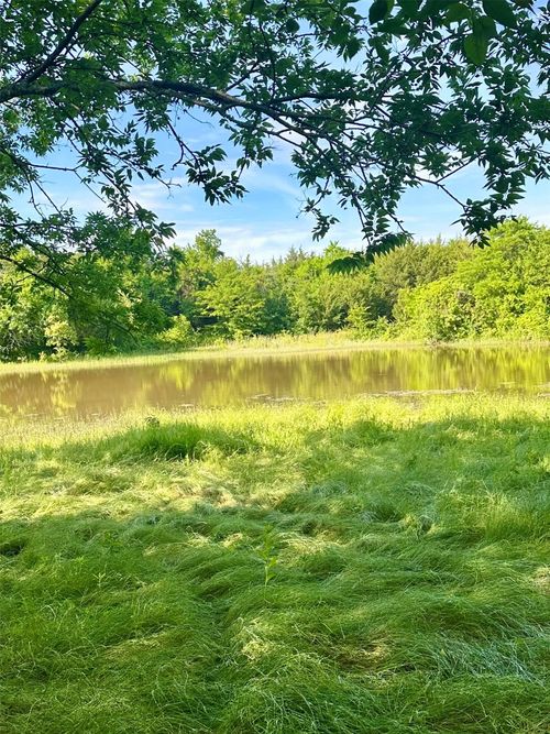 of-0 County Road 5020, Blue Ridge, TX, 75424 | Card Image