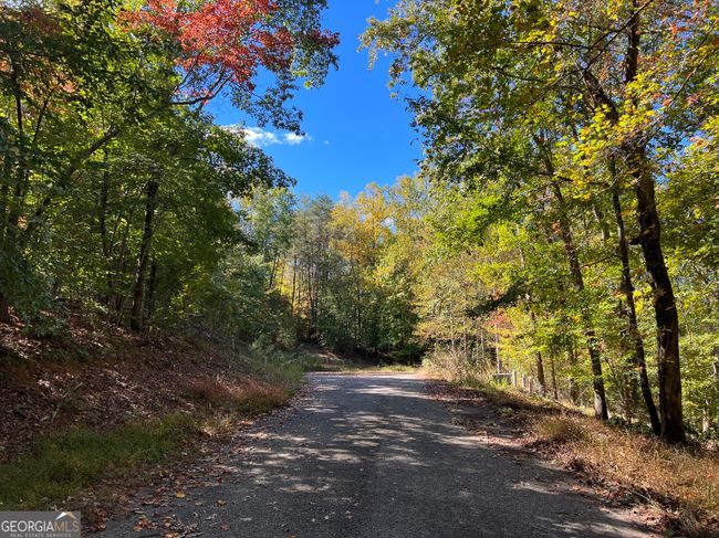 lot 2 Winterberry Lane, Home with 0 bedrooms, 0 bathrooms and null parking in Gainesville GA | Image 28